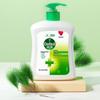 Dettol Healthy Disinfectant Hand Wash