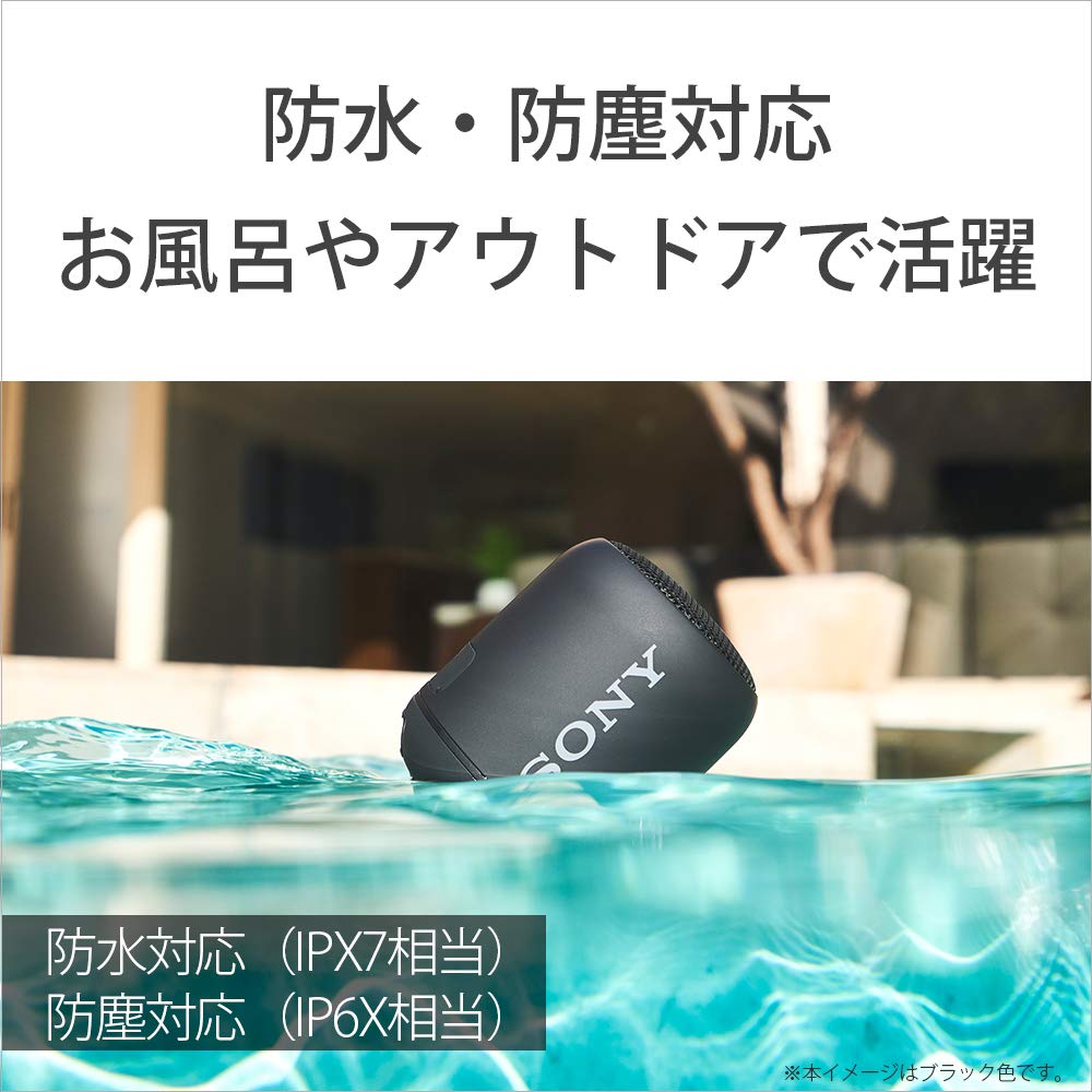Sony Wireless Portable Speaker Waterproof, Dustproof, Bluetooth Compatible, Deep Bass, with Mic, Lightweight and Compact, 2019 Model, Blue, SRS-XB12