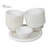50Pcs Biodegradable Disposable Bowl Environmental Kitchen Hot Cold Use Container