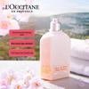 L'Occitane Cherry Blossom Shower Gel & Body Lotion Set