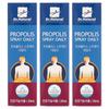 DRNATURAL Propolis Spray Daily 25ml 3 Pcs