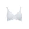 Rosa Faia 27334 Bra