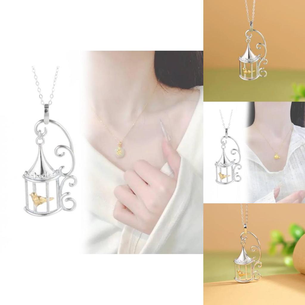 Künstlerischer Tier Vogelkäfig Anhänger Schmuck Für Frauen Männer Lässige Mode Geschenk