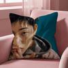 Z-ZICO SINGER Cushion Cover Multi-Scene Pillow Cover for Home & Car - Reversible, Soft & Durable for Daily Use