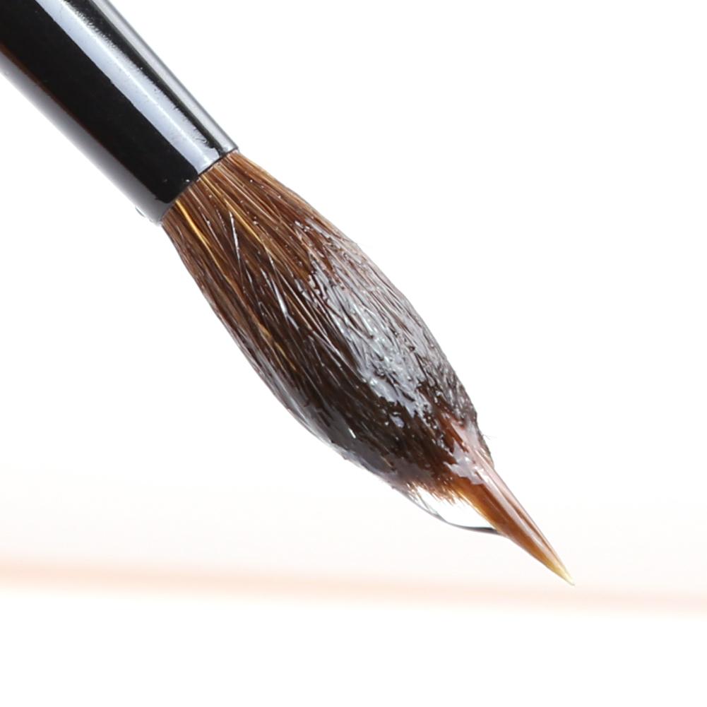 Extended Needle Point Two Layer Watercolor Brushes,Mop Brush Line Brush 2-in-1,Squirrel Hair Mix Nylon Hair Paint Brush for Art Detailing Painting