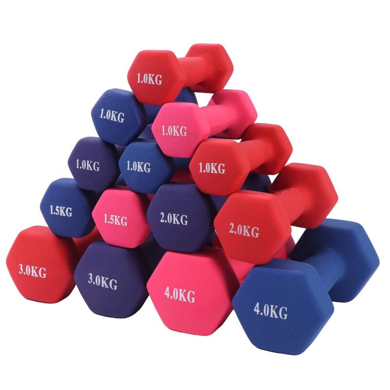WEZHO Dipped Dumbbell Set