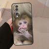 Cute Baby Monkey Animal Case For Honor X9b X9a X8a X7a X6a X6 X7 X8 X9 8X 9X Honor Magic 5 Pro 50 70 90 Lite Cover