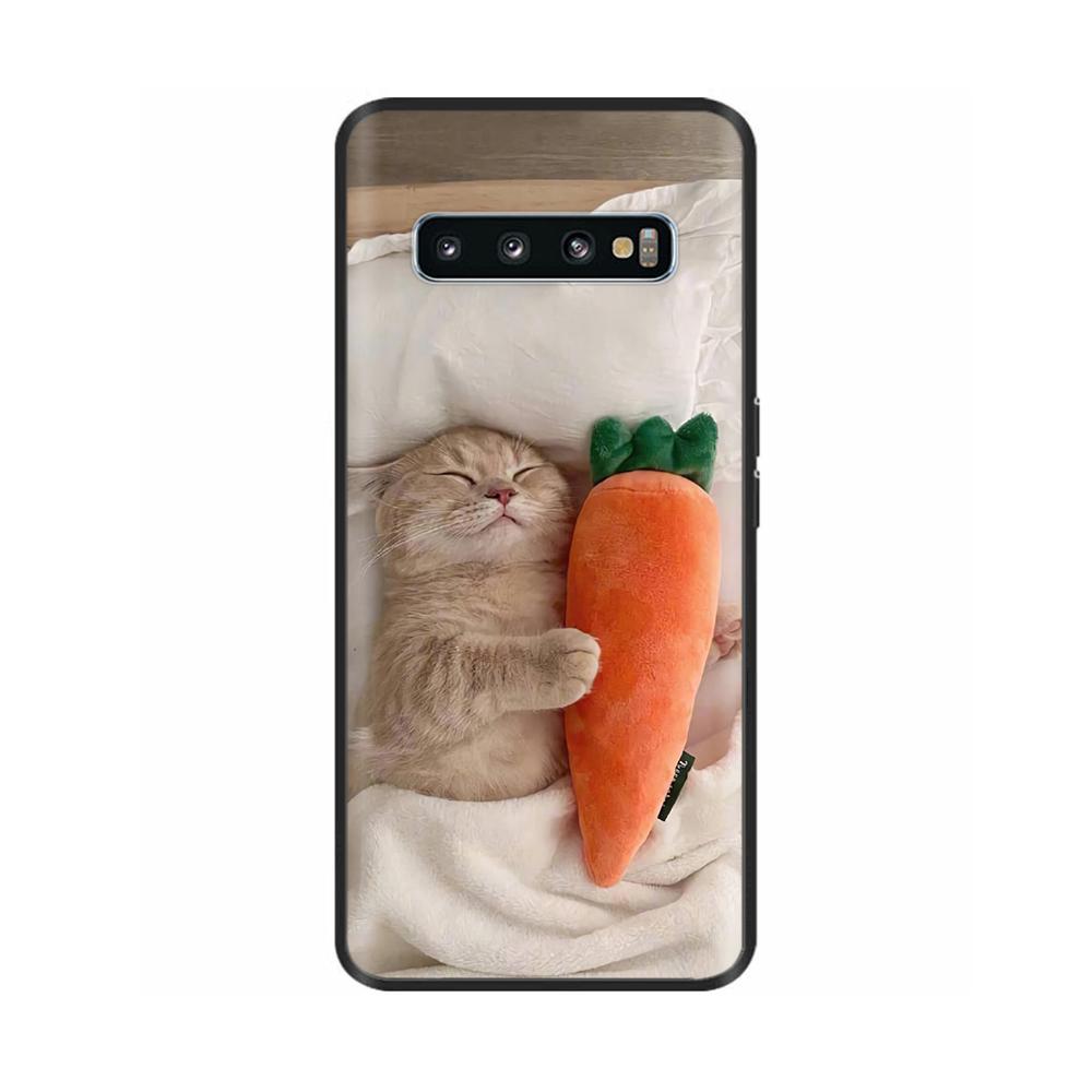 Shockproof Cover For Samsung Galaxy S10 Phone Case Animals Painted Shell For Samsung S10 Plus S10+ S 10 Soft Silicone Back Cover