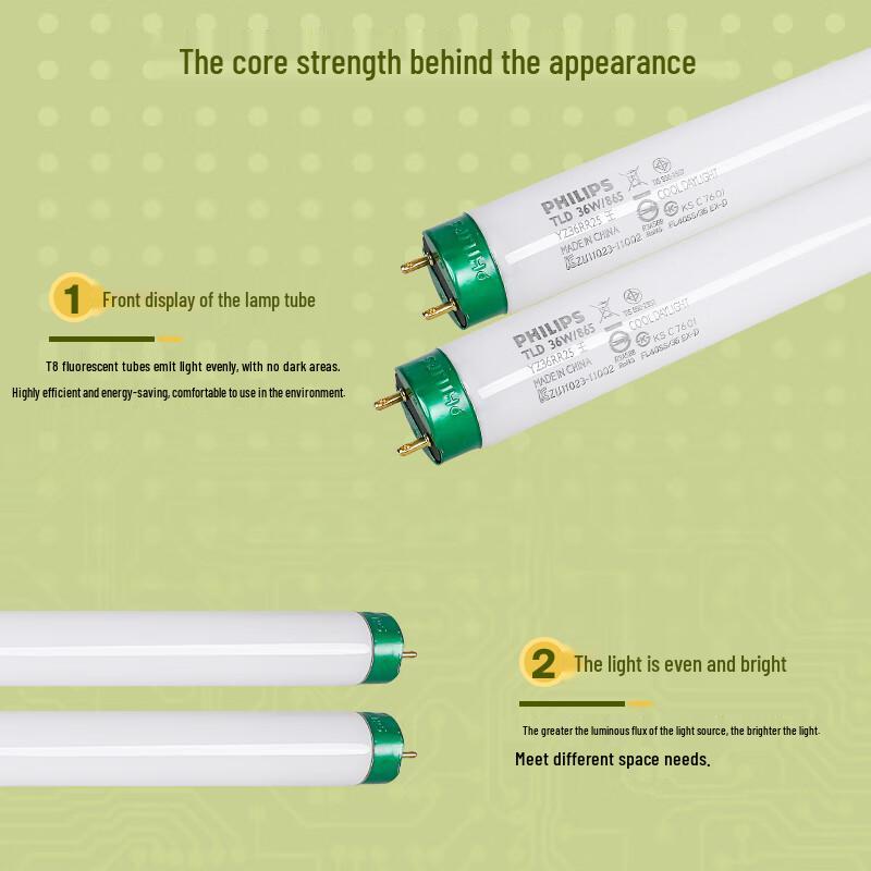 Philips T8 Tri-Phosphor Fluorescent Tube