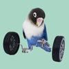 Parrot Balance Toy Mini Double Row Roller Skates Pet Small Bird Intelligence