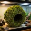 Moisturizing Reptiles Hideaway Cave Grass Woven Moss Shelter Rest Cave for Snake Lizards Terrariums Decoration