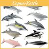 Marine Mammal Dolphin Model Pvc Realistic Animal Decor For Marine Enthusiasts