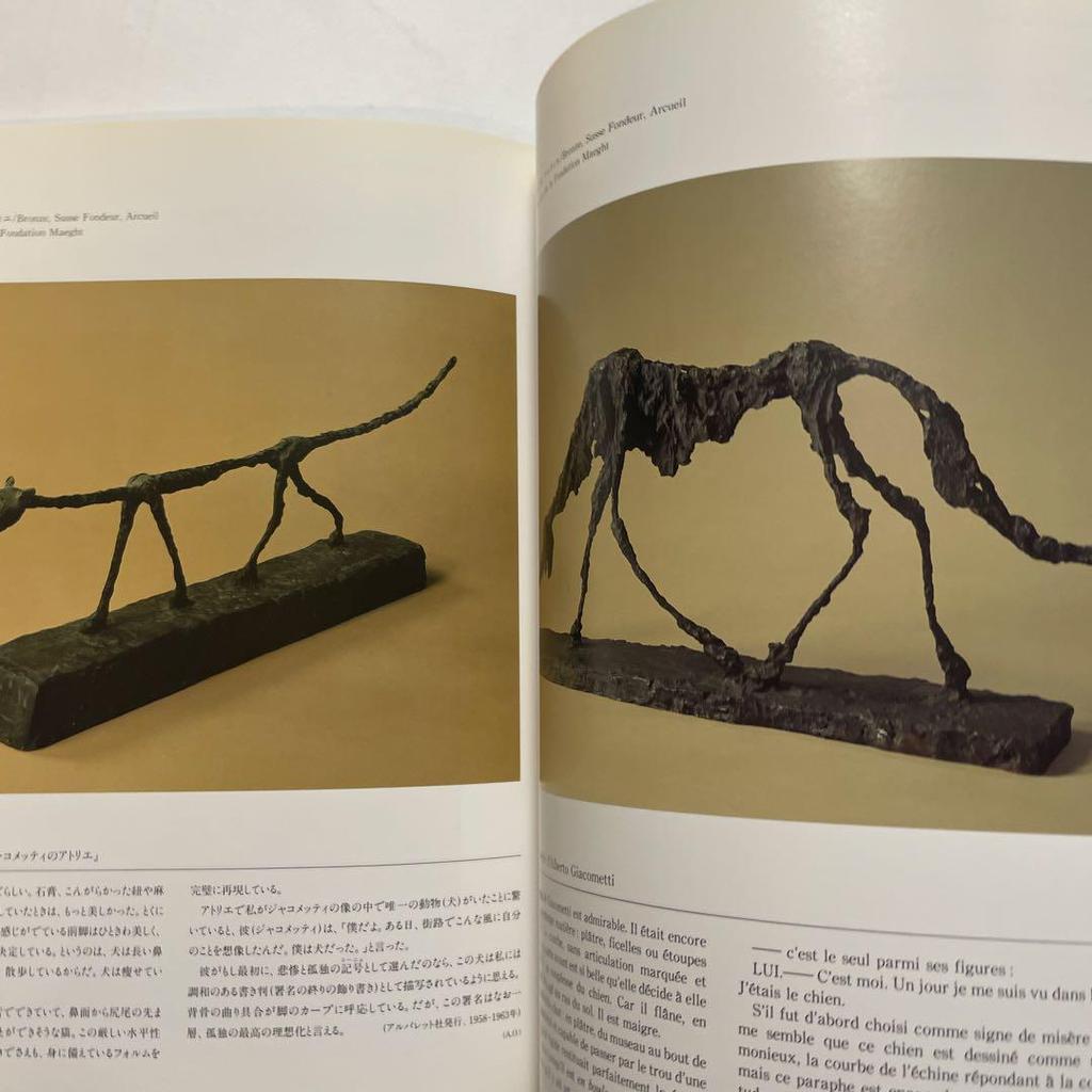 [USED] Balthus et Giacometti Art Collection