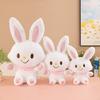 Wishing Rabbit Doll Plush Toy Cute Rabbit Doll Pillow Doll Machine Exchange Gifts