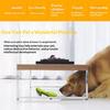 Pet Toy Sound Design Interactive Puppy Chew Toy with Built-in Rattle Cartoon Dog Monkey Design Teeth Oral Health Safe Chew