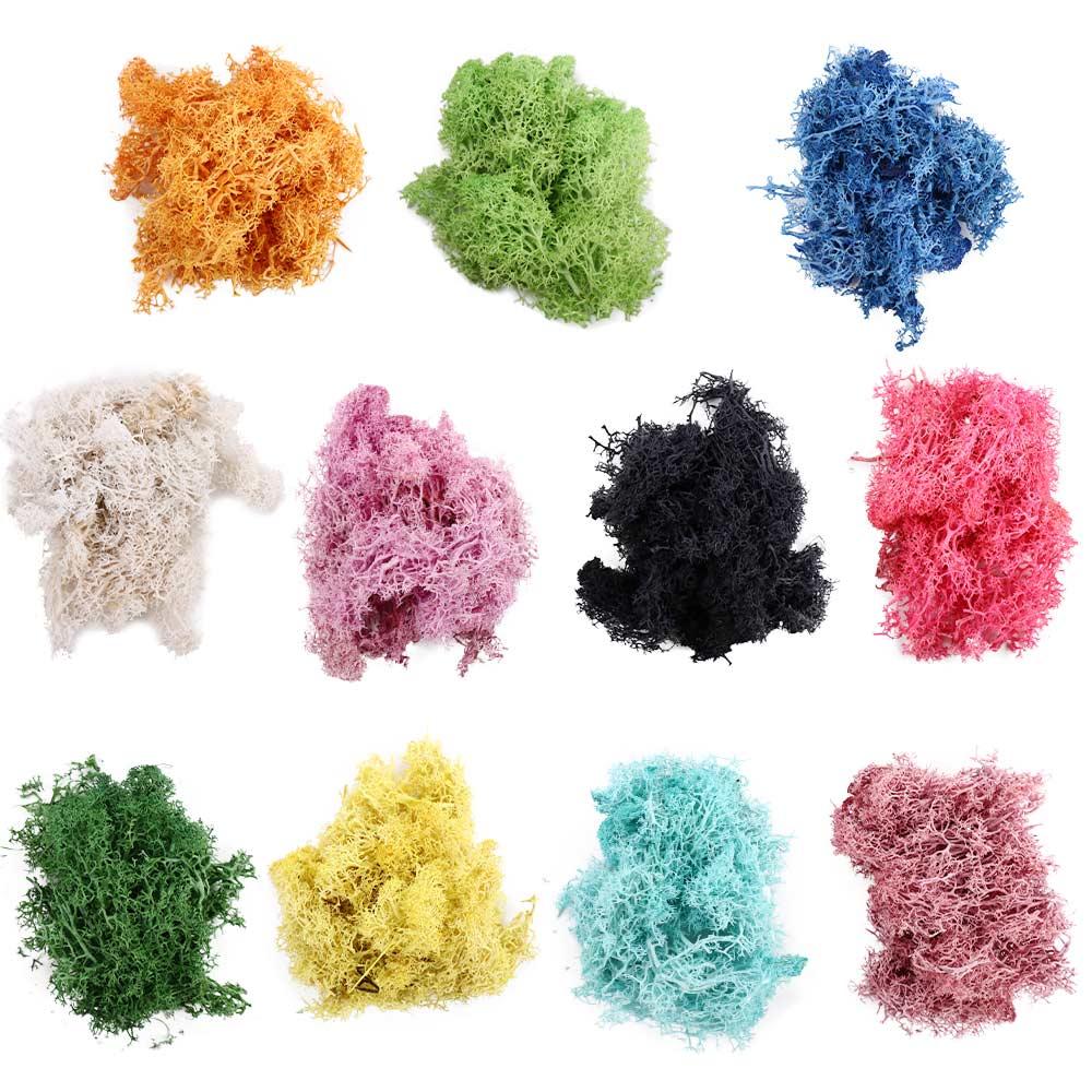 Home Ornaments Living Room Fake Flowers Eternal Moss Moss Artificial Plants Garden Decoration