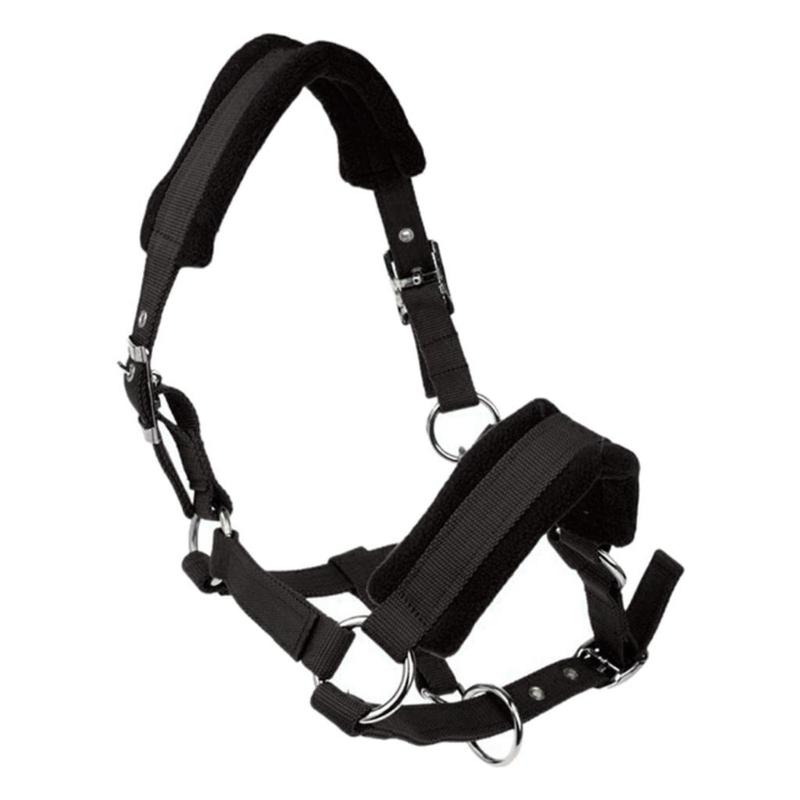Durability Metal Eye Hook Horse Headgear For Secure Cycling And Training With Rustproofed Stable Bridle Hardware