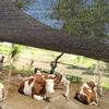 Sunshade Net 75% Uv Protection Durable Thicker High Density Eco-Friendly Material Available For Travel Picnics And Pools