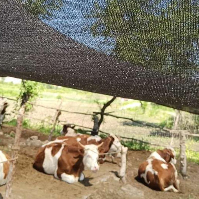 Sunshade Net 75% Uv Protection Durable Thicker High Density Eco-Friendly Material Available For Travel Picnics And Pools