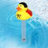 Teploměr do bazénu Plovoucí kachnička Měřič teploty vody Snadno čitelný Plovoucí měřicí zařízení s provázkem Pro bazén