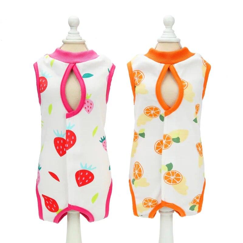 Pet Cat Clothes Spring Summer Cats Sterilization Suit Puppy Breathable Jumpsuits Clothing Recovery Anti Licking Wounds Suits