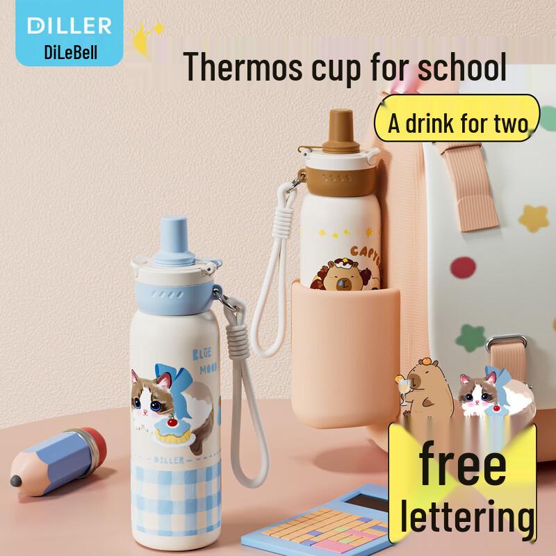 Diller 680ml 316L Stainless Steel Straw Water Bottle