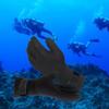 5mm Dive Gloves Stitch-proof Full Finger Wetsuit Snorkeling Warm Surf Swimming Double Fed