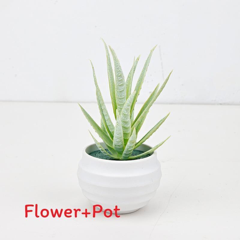 

Aloe Vera Succulent Miniature Green Potted Plant For Home Office Desk Decor StyleA