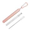 Portable Stainless Steel Telescopic Reusable Straw with Cleaning Brush for Drinking Coffee Milk