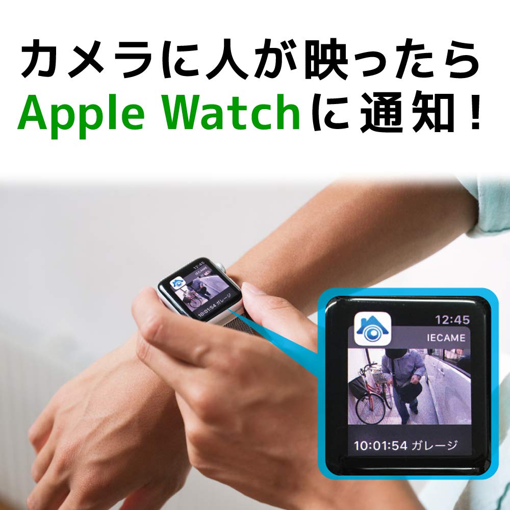 IeCame cameră de rețea RS-WFCAM1