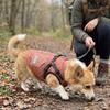 Reflective Winter Dog Jacket Adjustable Back Pet Down Coat Dog Cotton Jacket  Cold Weather