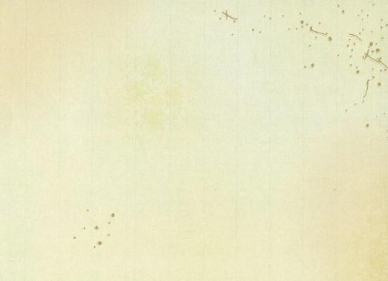 Kobaido Kana Paper [Hazuki] Half-sized 50 sheets (5 designs, 10 sheets each)