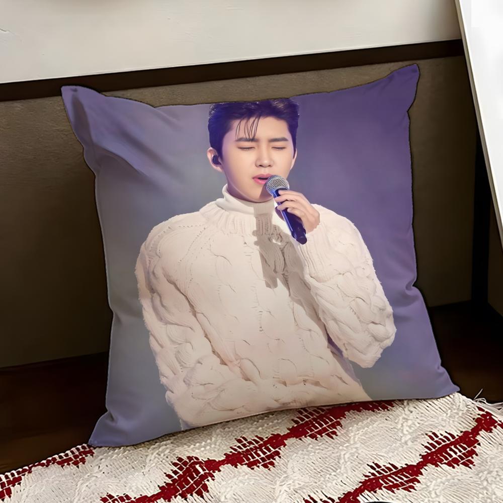 LLim Young WWoong Cushion Cover Reversible Soft Durable Pillow Cover Home Car MultiScene Use for Daily Comfort