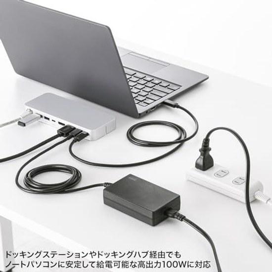 Sanwa Supply USB Charger ACA-PD94BK