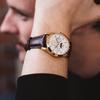 KARL-LEIMON CPWH Series Unisex Wrist Watch CPWH01 CPWH01G Gift Casual Business Sports Student