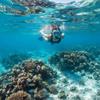 Silicone Mouthpiece Swimming Snorkel One-Way Purge Valve Snorkeling Snorkel  Snorkeling