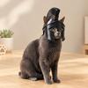 Knight-Design Cats Headpiece, 3D Printed Costume Helmet with a Sanded Paintable Surfaces for Photos and Cosplay
