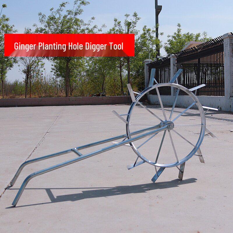 

Vegetable Planting & Pit Locator Tool for Ginger & More