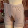 Boxer Brief Men Boxers Breathable Lingerie Underwear Mesh
