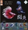 [Stand Stones] Fighting Fish - Betta - 2, Set of 6