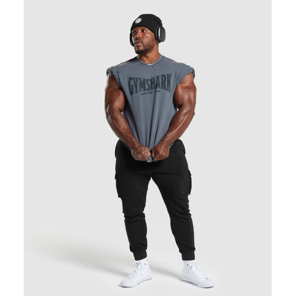 Gymshark Heritage Washed Short Sleeve Crew Titanium Blue A4a8d Ucms