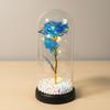 Rose Immortal Flower Glass Cover Valentine's Day Gift Doll Bouquet Mother's Day Birthday Creative Christmas Gifts