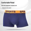 Men's High Elasticity Modal Boxer Shorts - Trendy Sports Personality Briefs