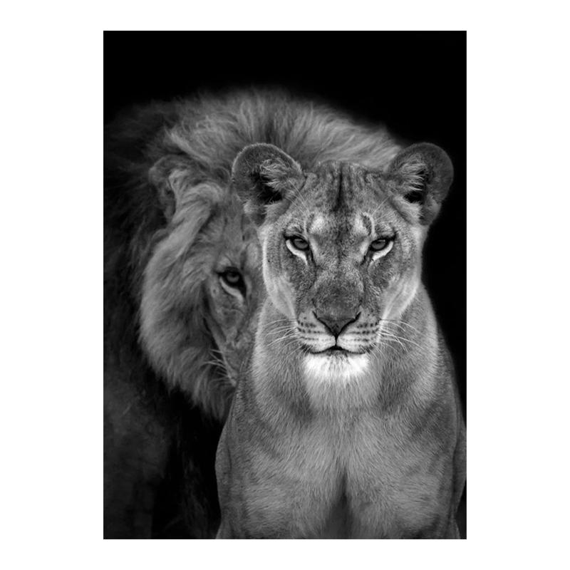 Schwarz-weiße Tiere Kunst Löwe Leinwand Malerei Moderne Poster und Drucke Wandbilder für Wohnzimmer Home Cuadros Dekor