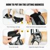Dog Lift Harness for Large Dogs Soft Padded Adjustable Pet Rear Leg Support for Old Disabled Joint Injuries Dog Back Leg Sling
