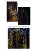 Solar-Powered LED Copper String Lights for Outdoors - Waterproof Starry Sky Christmas Decorations