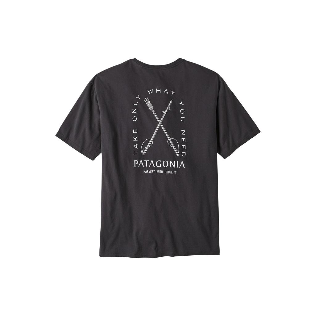 Patagonia Organic T Shirt Men's 37732