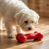 Squeaky Bone Dog Toy Bite-Resistant Interactive Chew Toy Textured Teeth Cleaning Toy for Large Medium Small Dogs Puppy Teething