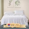 Yayue Silk Blend Summer Quilt