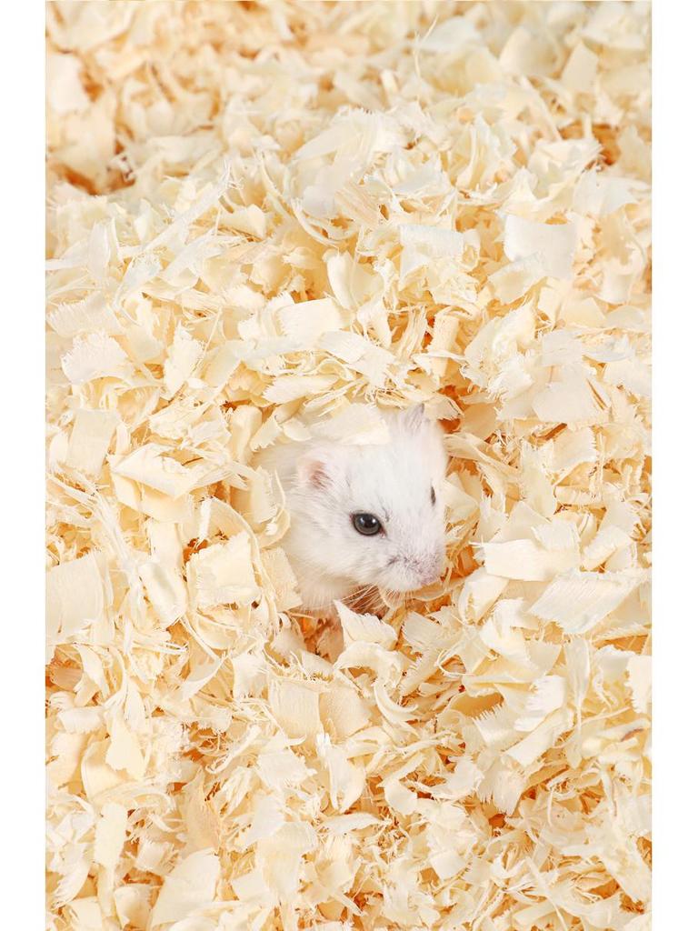Deodorizing Aspen Wood Shavings & Cotton Bedding for Hamsters and Chinchillas - Low Dust, Cozy Winter Supplies